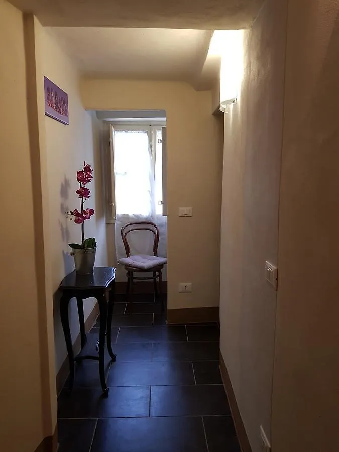 Appartamento Residenza Elisa Baciocchi Lucca Italia